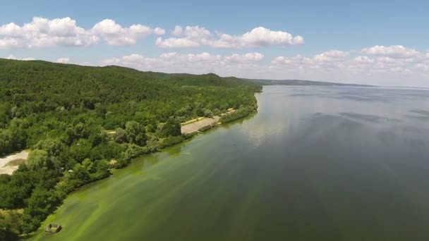 Prachtige zeekust met hout. Luchtfoto landschap — Stockvideo