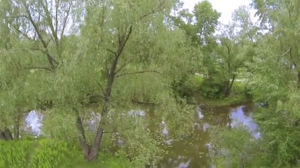 Landschap met bos en rivier in buitenwijk. Luchtfoto — Stockvideo