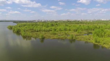 Göl, odun ve Fabrika boru ile manzara. Hava panorama