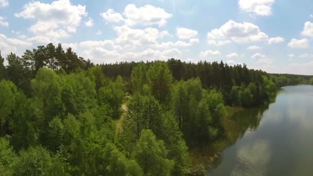 Wald und Seeufer an einem sonnigen Tag. Antenne — Stockvideo