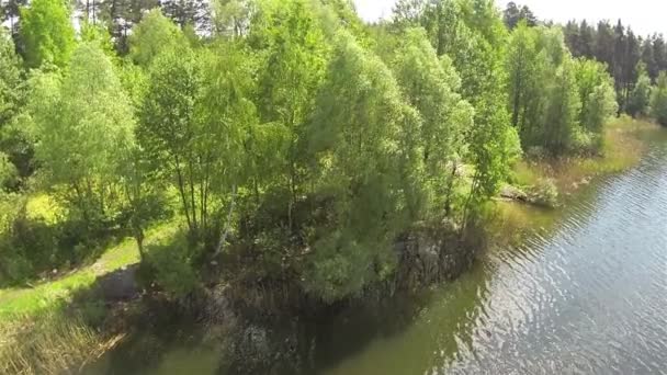 Bosque y costa del lago en el día soleado. Movimiento lento aéreo — Vídeos de Stock