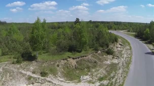 Vuelo bajo sobre carretera asfaltada en madera. Antena — Vídeo de stock