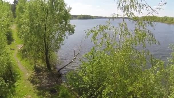 Bosque y costa del lago en el día soleado. Movimiento lento aéreo — Vídeo de stock