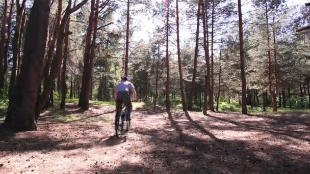 Άνθρωπος ποδηλάτη στο ξύλο. βολή — Αρχείο Βίντεο