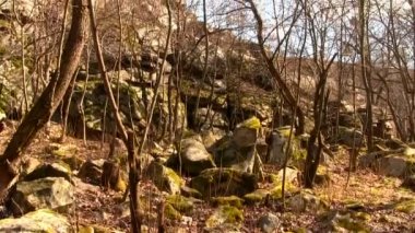 Ağaçlar ve kayalar bahar Panoraması. Manzara