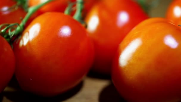 Reife rote Tomaten. Schiebereglerschuss — Stockvideo