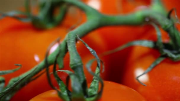Tomaten mit grünen Stielen Makro. Schiebereglerschuss — Stockvideo