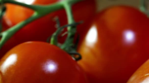 Tomates con tallos verdes macro. Slider tiro — Vídeos de Stock