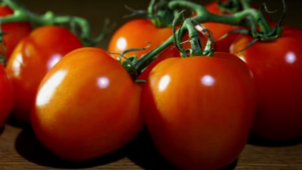 Tomatoes lying on a table . Slider shot — Stock Video