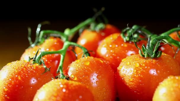 Drops of water and tomatoes. Slider  shot — Stock Video