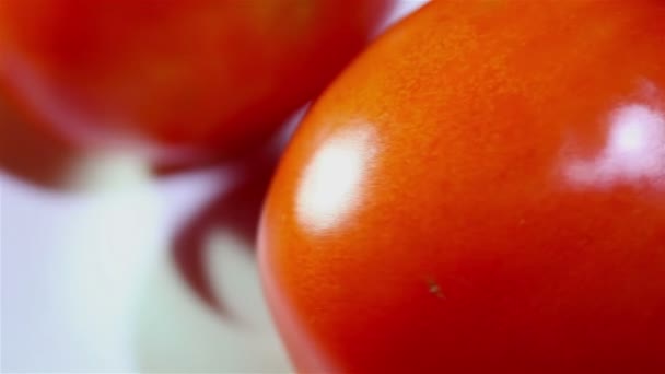 Two  red tomatoes  turns on  white plate. Close up — Stock Video