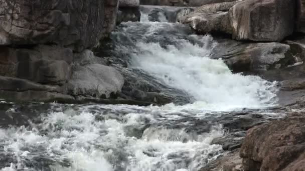 Arroyo, río con piedras. Paisaje — Vídeo de stock