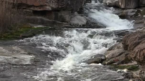 Arroyo, río con piedras. Paisaje — Vídeo de stock