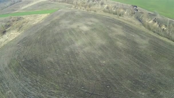 Långsam flygning över träd och fältet. Aerial landsbygdens landskap — Stockvideo