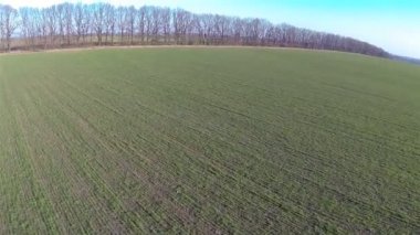 Uçuş güneşli günde yeşil alanın üzerinde. Hava