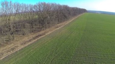 Uçuş güneşli günde yeşil alanın üzerinde. Hava