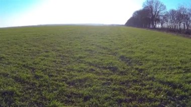 Kırsal manzara nehir güneşli gün ile. Hava ağır çekim