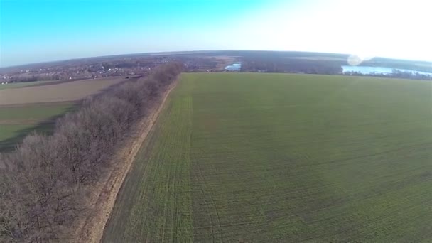 Vlucht over groene veld in zonnige dag. Luchtfoto — Stockvideo