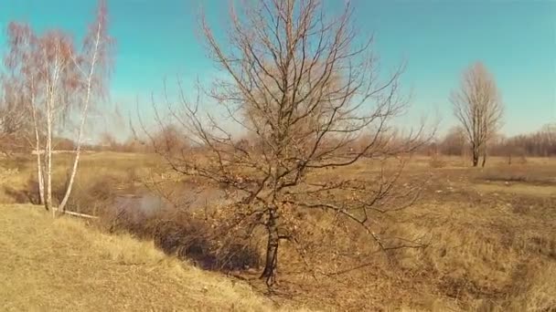 Mooie heldere herfstdag. Luchtfoto landschap — Stockvideo