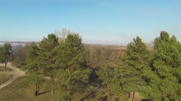 Flight over green trees and river. Landscape .Aerial — Stock Video