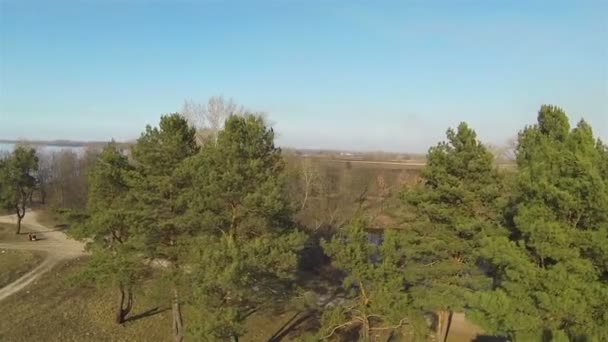 Volo su alberi verdi e fiume. Paesaggio .Aerial — Video Stock