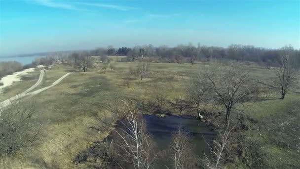 Kleiner See, blauer Himmel und Bäume. Landschaft. Antenne — Stockvideo