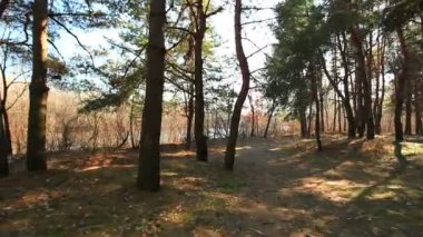 Sabah güzel ahşap. hareketi ile stabilize manzara.