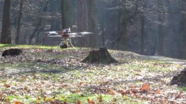 Drone uçuş ahşap. Odak Değiştir