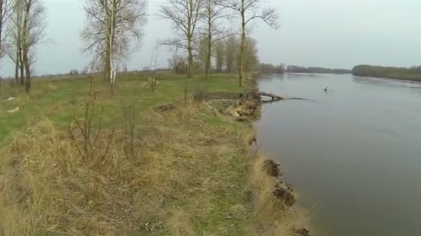 Paysage avec rivière et arbres. Aérien 