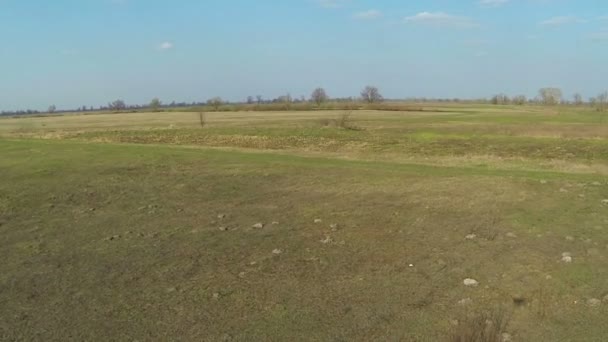 Veld en hemel landschap. Luchtfoto — Stockvideo