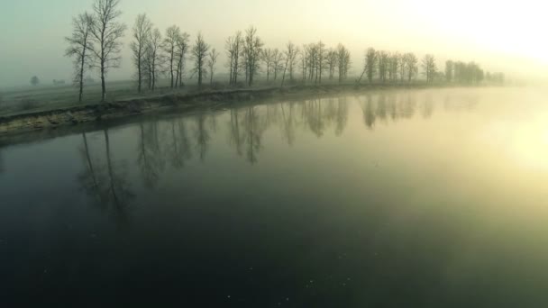 Ochtend rustige rivier. Luchtfoto — Stockvideo