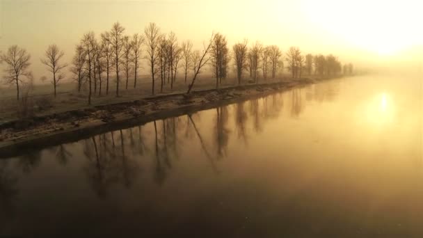 Mattina fiume tranquillo nei toni dell'arancio. Vista posteriore aerea — Video Stock