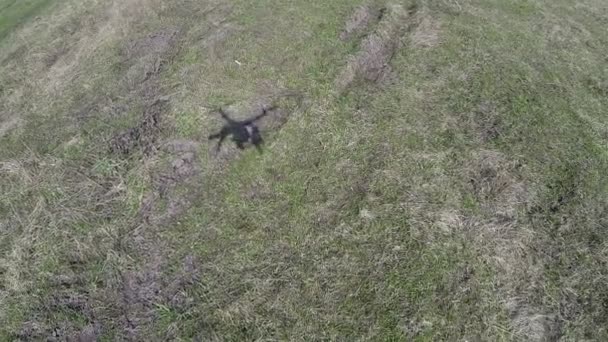 Тень от посадки вертолетного дрона на зеленое поле. Воздушный — стоковое видео