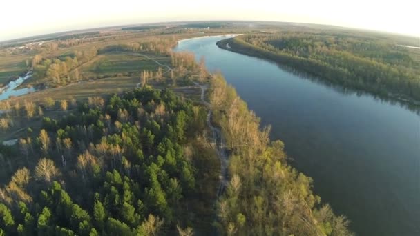 Ранкова тиха річка з лісом Вид з повітря — стокове відео