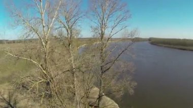 Grup ağaçlar ve bahar Nehri. Hava