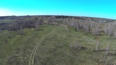 Birchwood alanında. Bahar manzara. Hava