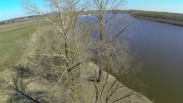 Bomen en de rivier. Voorjaar landschap. Luchtfoto — Stockvideo