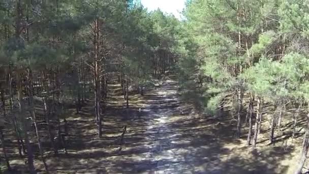 Rural landscape with  over  wood . Aerial  top view — Stock Video