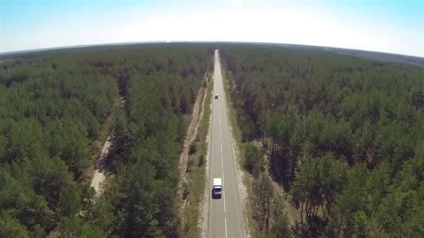 Landskap med trä och road och bilar. Översta Flygfoto — Stockvideo