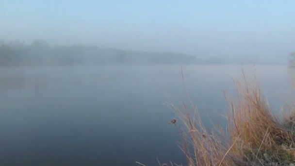 Річка і туман. Проміжок часу Пейзаж — стокове відео