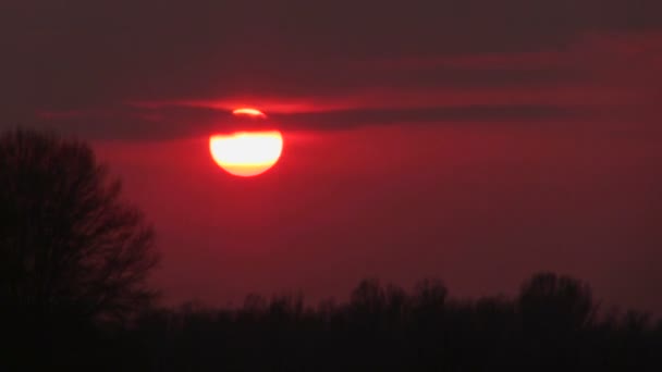 Μαγευτικό ηλιοβασίλεμα στο ξύλο. Πάροδο του χρόνου — Αρχείο Βίντεο