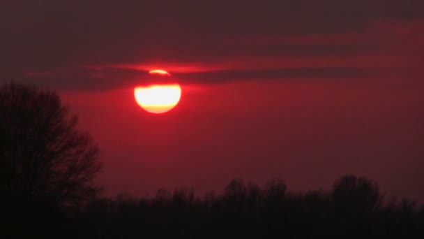 木の美しい夕日。時間の経過 — ストック動画