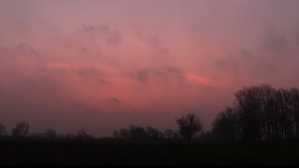 夕暮れ時の赤い高速雲。時間の経過 — ストック動画