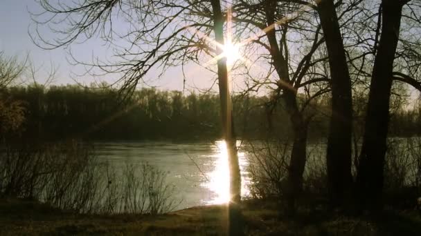 Sol e rio. Paisagem. Desfasamento temporal — Vídeo de Stock