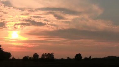 Günbatımı ağaçlar karşı. PAL zaman atlamalı