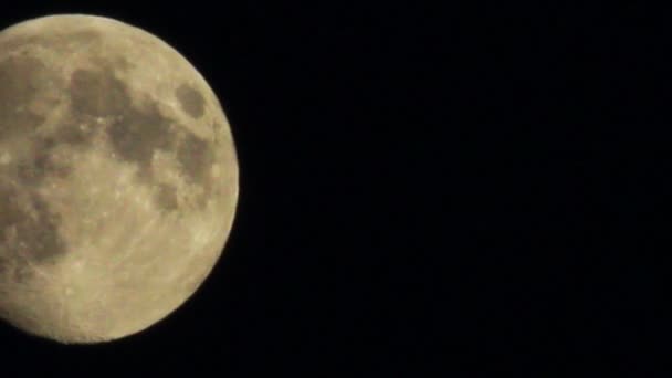 Vue de la grande lune la nuit à travers les branches des arbres — Video