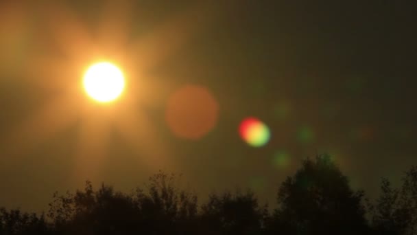 Sol no céu com manchas de luz e silhuetas de árvores — Vídeo de Stock