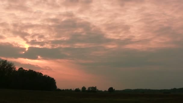 Orangefarbener Sonnenuntergang mit Wolken und Bäumen. Zeitraffer — Stockvideo