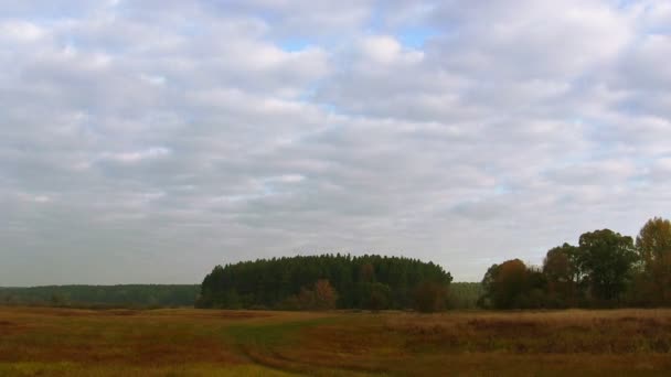 Campo de nubes y árboles. PAL Tiempo de caducidad — Vídeos de Stock