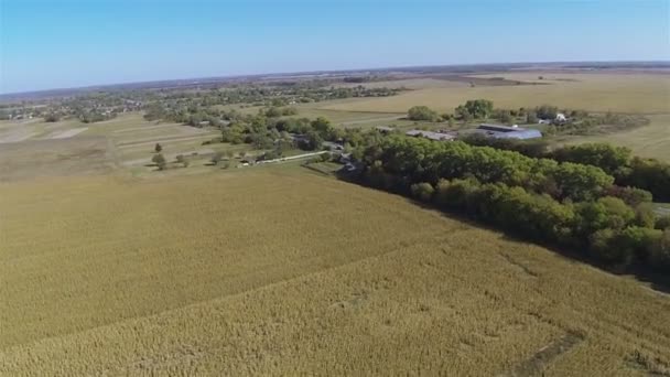 Paisaje agrícola con campo amarillo y carretera. Antena — Vídeos de Stock